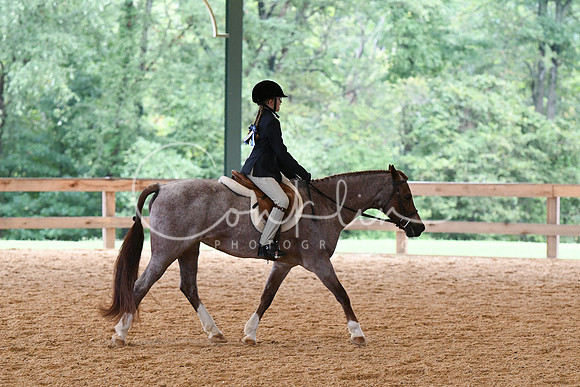 HSM_6360