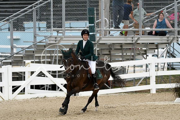 HSM_3365-1
