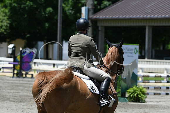 HSM_3313