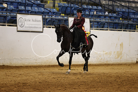 RJC32009