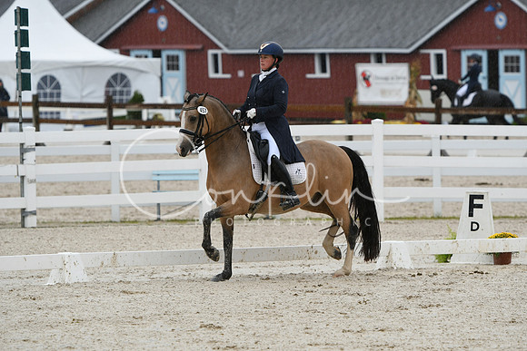 HSM_0244