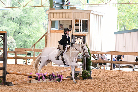 HSM_6233