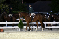 HSM_0594