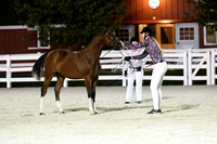 HSM_5909-1