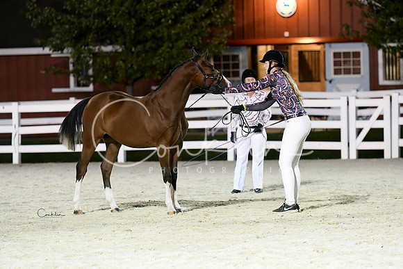 HSM_5909-1