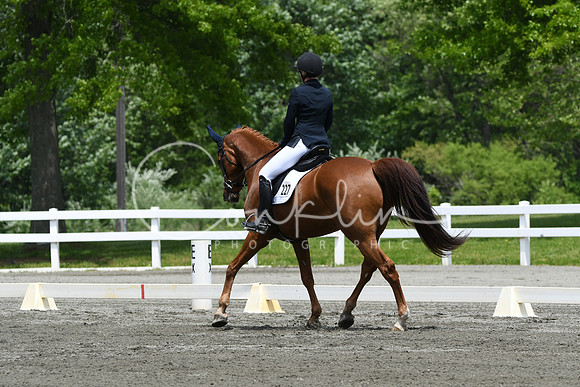 HSM_0262