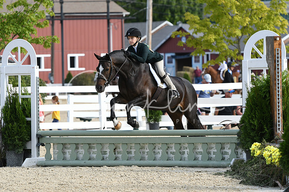HSM_5890