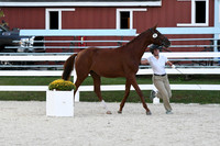 HSM_5735