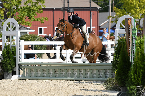 HSM_6343