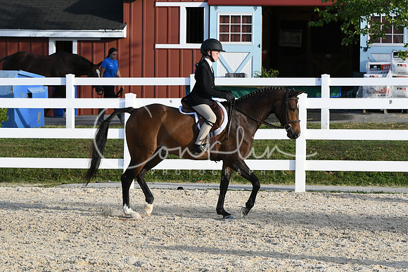 HSM_4547