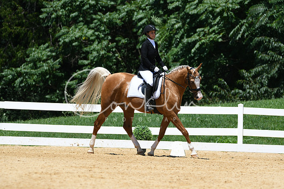 HSM_1386