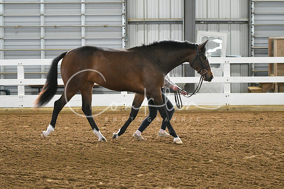HSM_3736