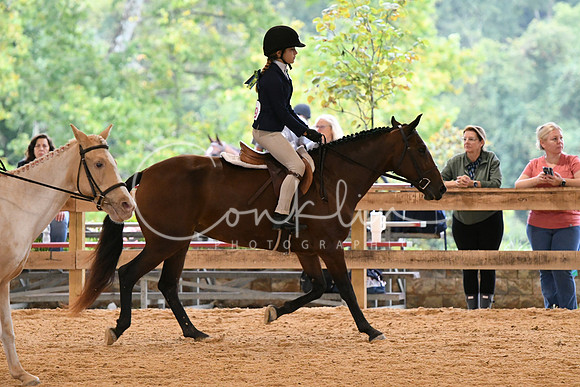 HSM_4808