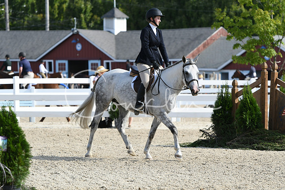 HSM_5930