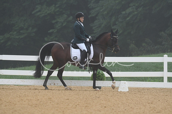 HSM_0693