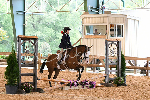 HSM_6041