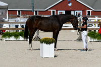 HSM_5228