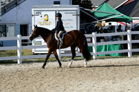 HSM_4226