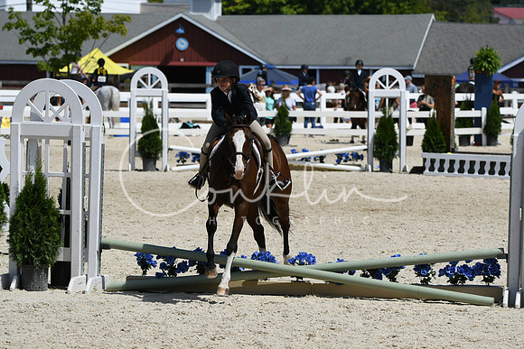 HSM_2959