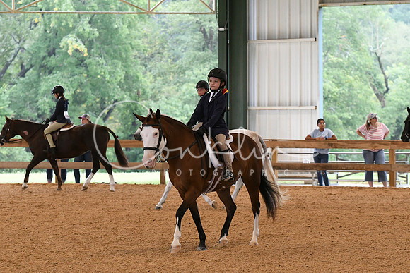 HSM_5037