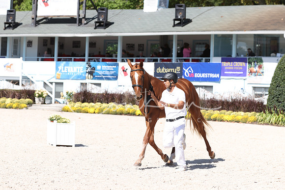 RJC34845