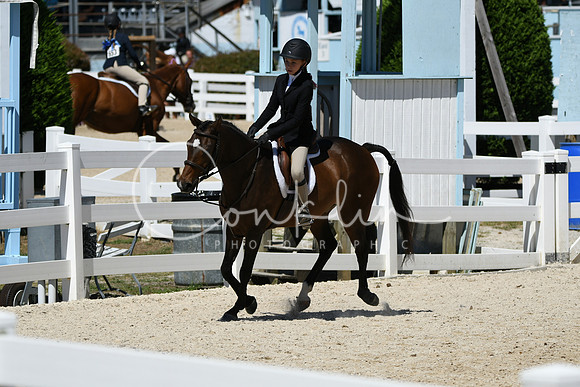 HSM_3239