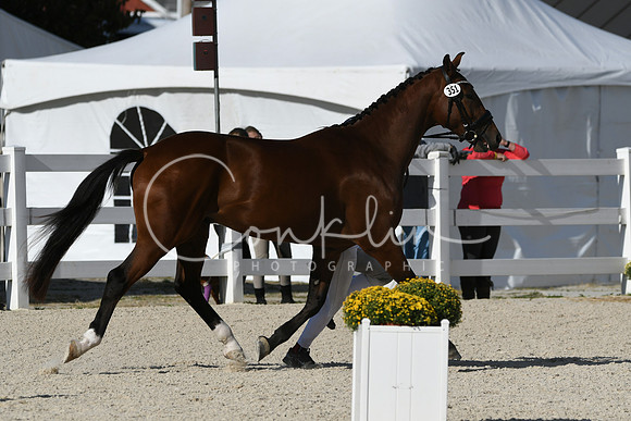 HSM_5339
