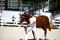 17      Damons Doree Clone 1