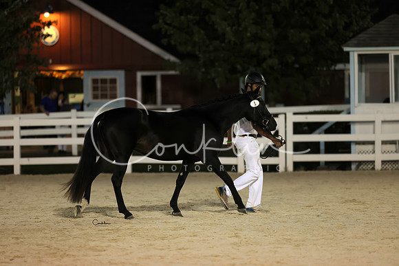 HLK_2516-1