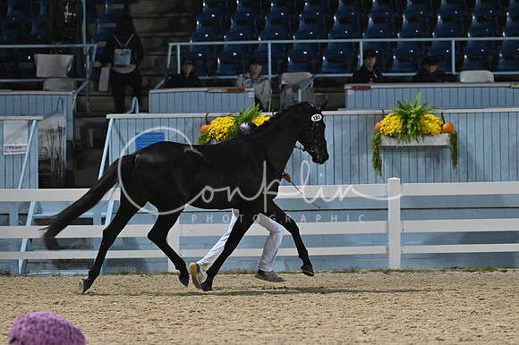 MAK_5175