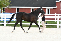 HSM_5681