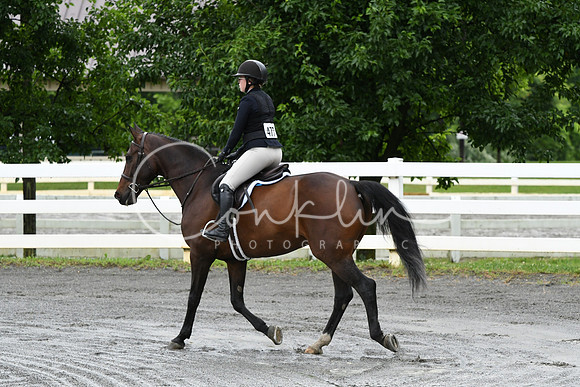 HSM_3528