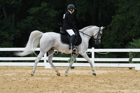 HSM_0296