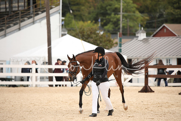 BW240481