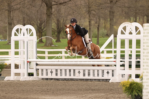 1DX33735