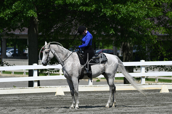 HSM_2735