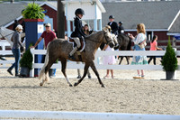 HSM_5848