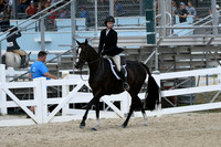 HSM_8847