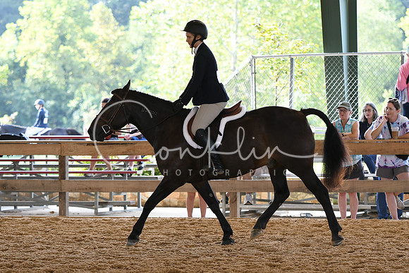 HSM_1094