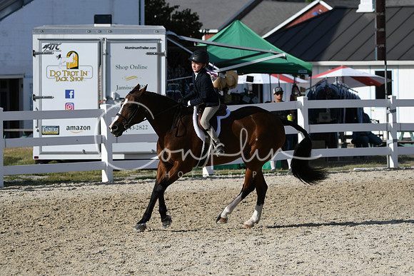 HSM_4274