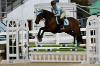 HSM_2923