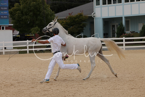 HLK_0707