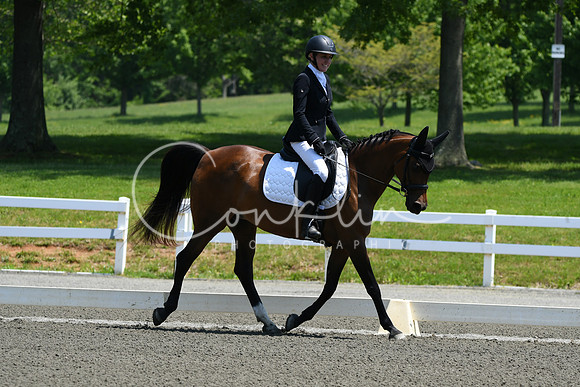 HSM_1667