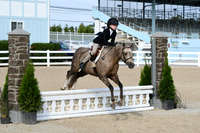 HSM_5903