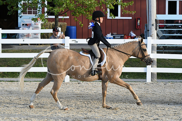 HSM_4591