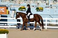 HSM_4314