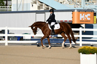 HSM_4223