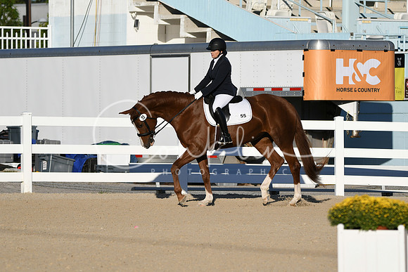 HSM_4223