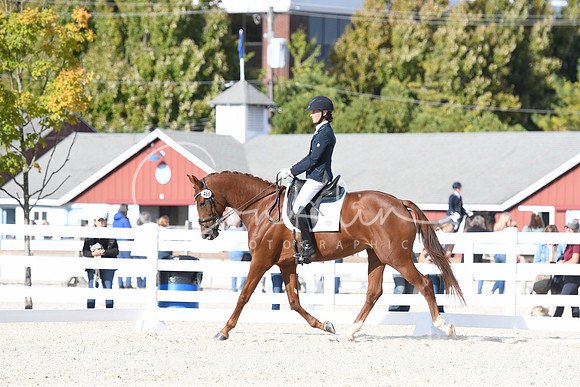 _TJP9392