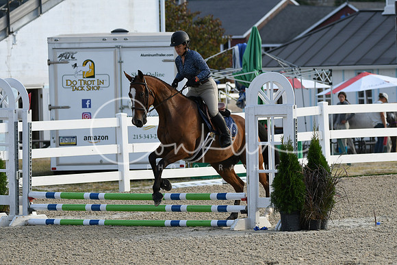 HSM_1065